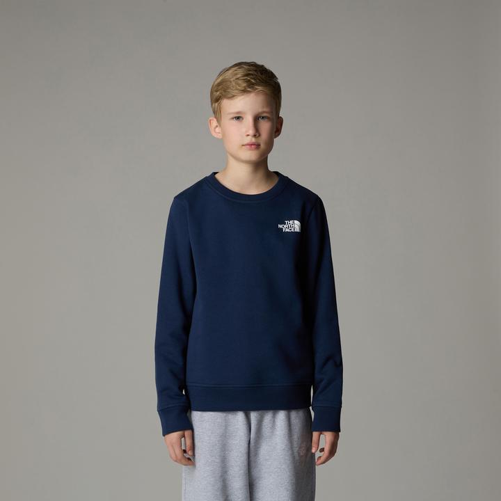 Actual product image North Face Teen Redbox Regular Crew (S)