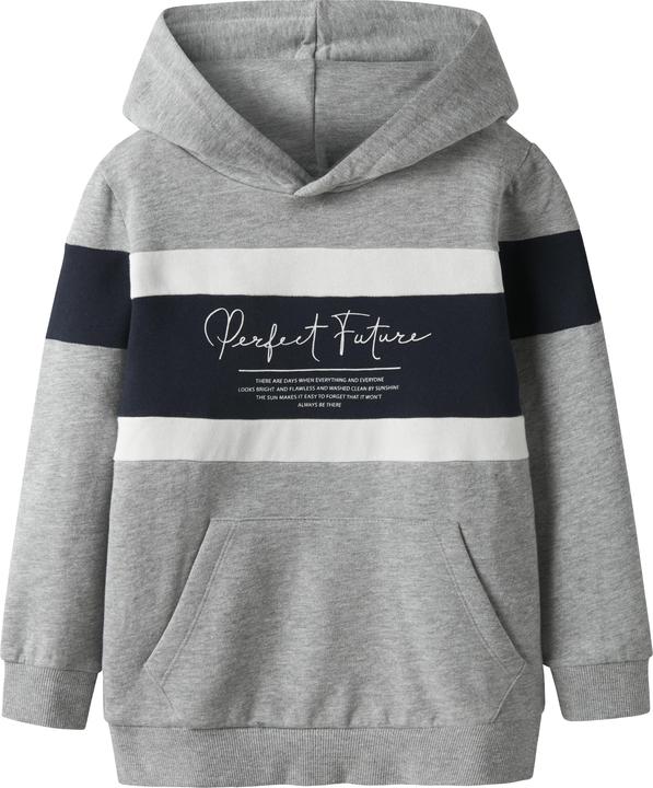 Name it Regular Fit Hoodie (116)