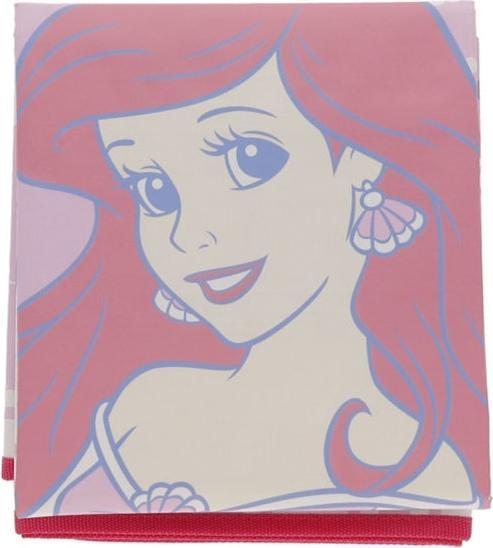 Actual product image Disney Princess picnic blanket