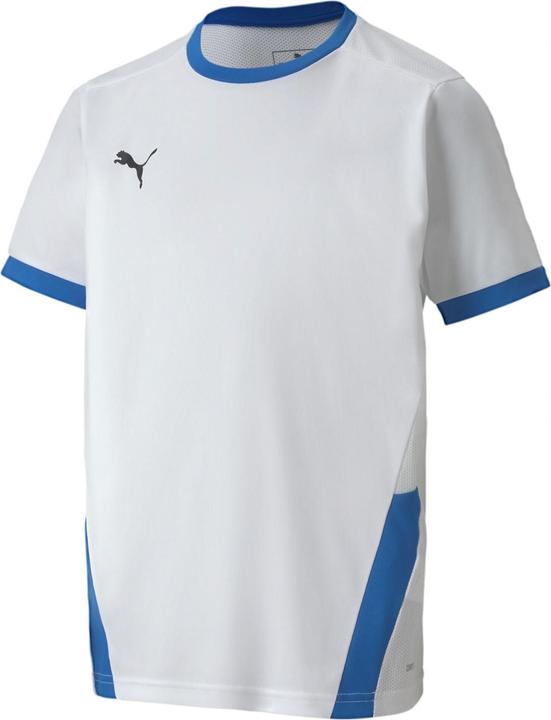 Immagine prodotto Puma Maglia teamGOAL 23 jr-704160 (164)