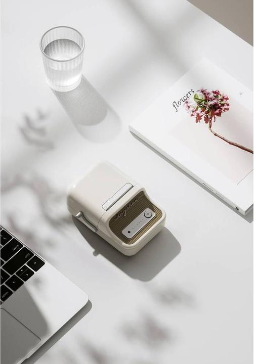 Productafbeelding Niimbot B21 labelprinter thermische overdracht 203 x 203 dpi labelbreedte (max.): 48mm Bluetooth® (203 dpi)
