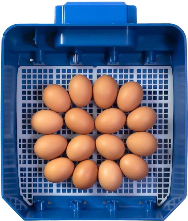 Actual product image APS Incubator - 16 eggs - fully automatic - antimicrobial biomaster protection