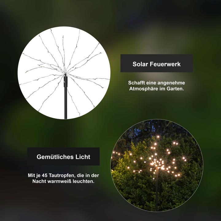Image du produit Star Trading Décoration solaire Firework (IP44)