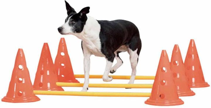 Pawise Dog Activity Set,3 Hürden,kleine Pylone,23 (Agility)