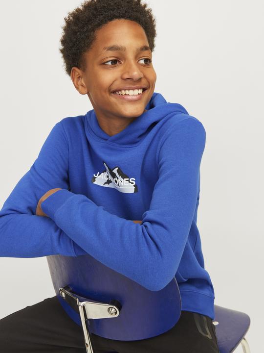 Produktbild Jack & Jones Jcomountain Logo Sweat Hood Sn Mni (122)