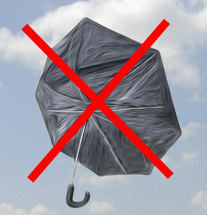 Image du produit Parapluie tempête "Kyrill", noir/argenté