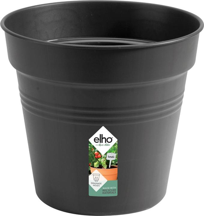Produktbild Elho Green Basics (19 cm)
