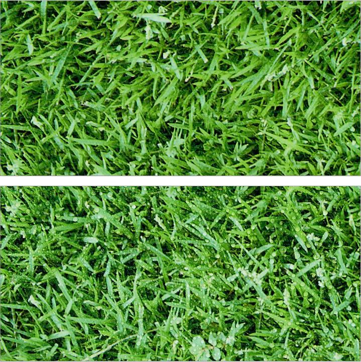 Actual product image Relaxdays 8x floor protection mat (1 cm)