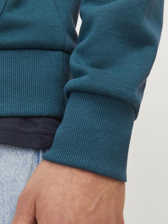 Actual product image Jack & Jones Jjtiley Sweat Hood Ln (L)