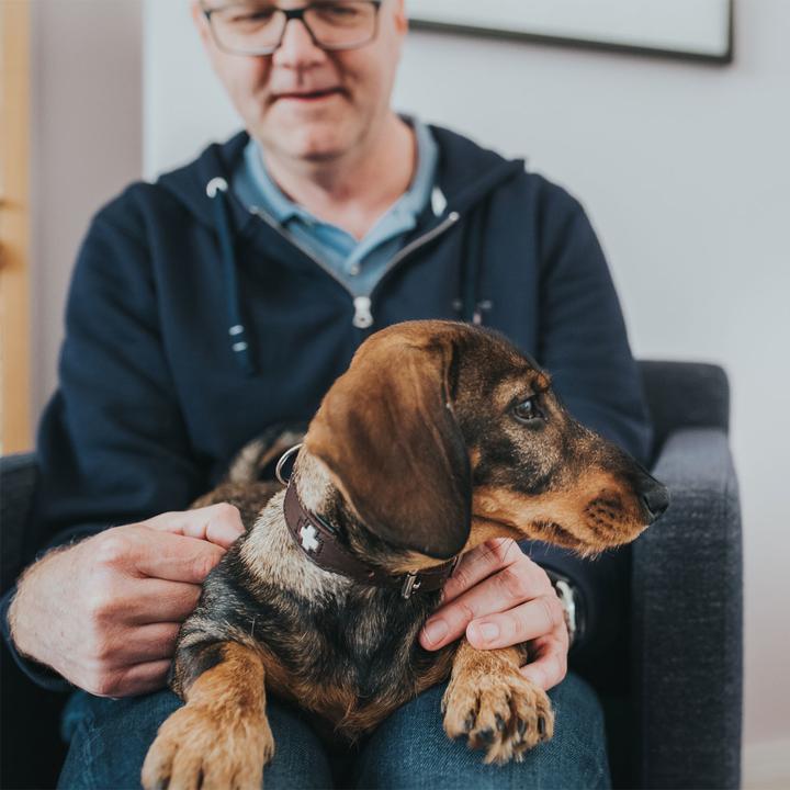 Productafbeelding Hunter Halsband Zwitsers (Hond, Hondensport)