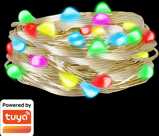 Actual product image LogiLink Wi-Fi Smart RGB light chain with remote control, Tuya compatible, 5 m (5 m)