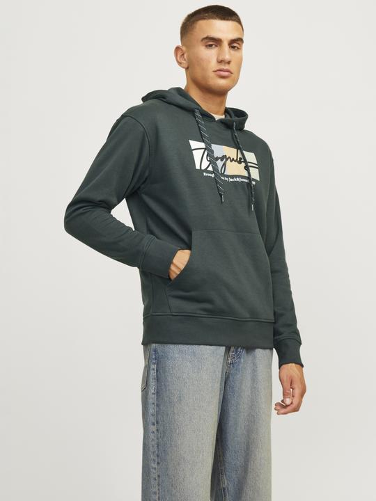 Produktbild Jack & Jones Jorportland Block Sweat Hood Ln (S)