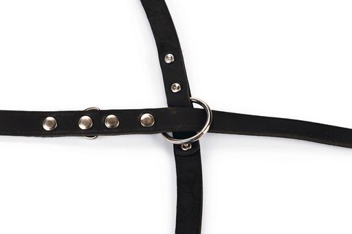 Actual product image Karlie Rodeo (M, Dog, Walks)