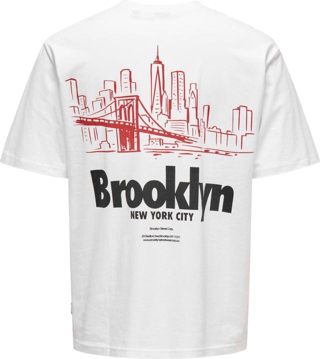 Produktbild Only & Sons Onskeane Rlx Ss Print Tee Noos (M)