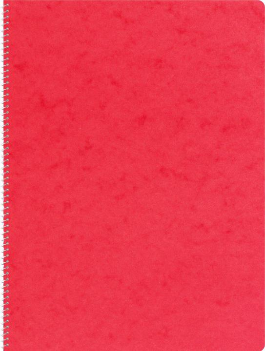 Actual product image Novooo Spiralheft assortiert (A4, Lined)