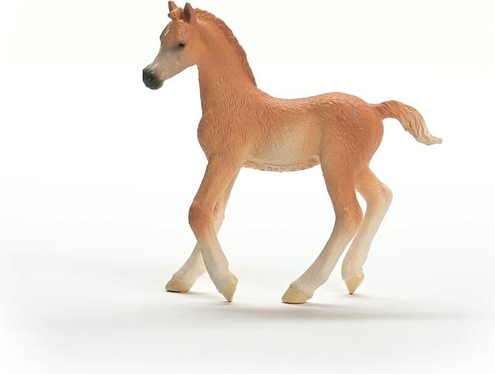 Actual product image Schleich Arabian foal
