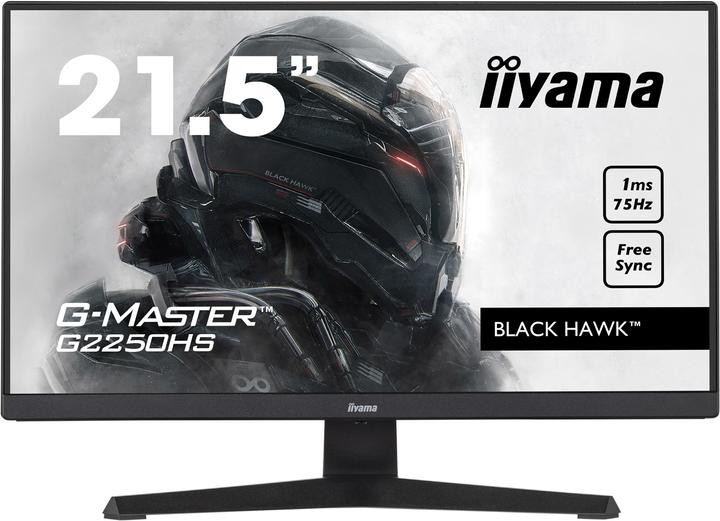 iiyama G-Master G2250HS-B1 (1920 x 1080 pixels, 21.50")