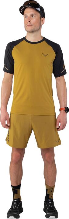 Actual product image Dynafit Alpine Pro M S/S Tee (XXL)