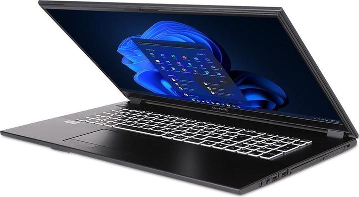 Image du produit Terra MOBILE 1716R i3-1315U W11P - ordinateur portable - Core i3
