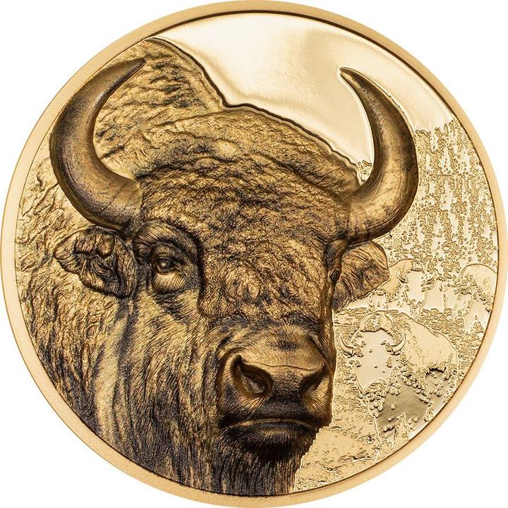 Immagine prodotto CIT Coin Invest Gold Bison 1 oz PP - High Relief 2025 (999.90, 2025)