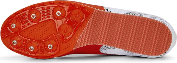 Image du produit Puma evoSPEED Star 8 (44.5)