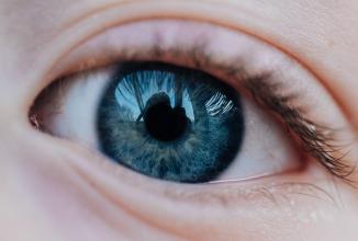 Productafbeelding Venus Optic Laowa 65mm f/2.8 2x Ultra Macro Fuji X (Fujifilm X, APS-C / DX)