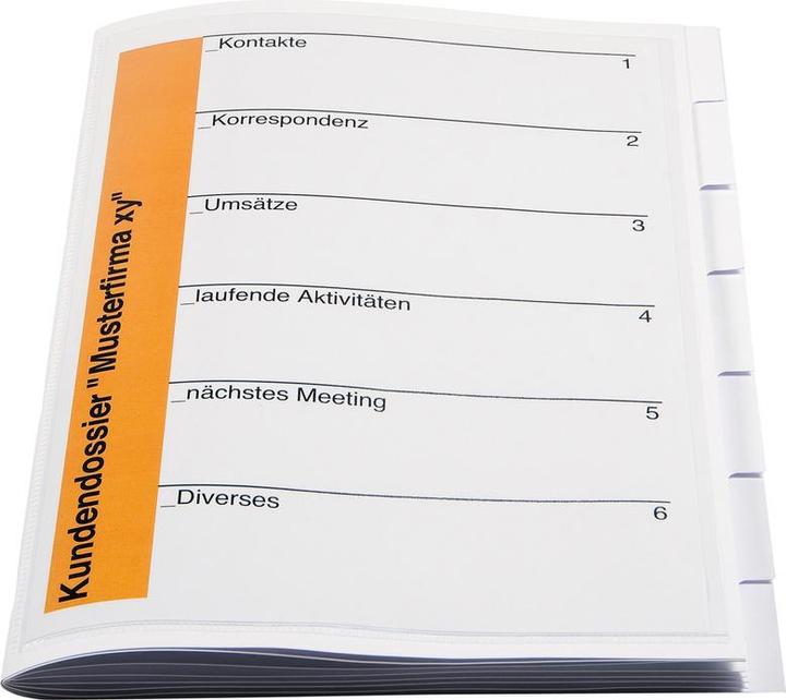 Actual product image Biella Organization folder Orga-File (A4, 1 x)