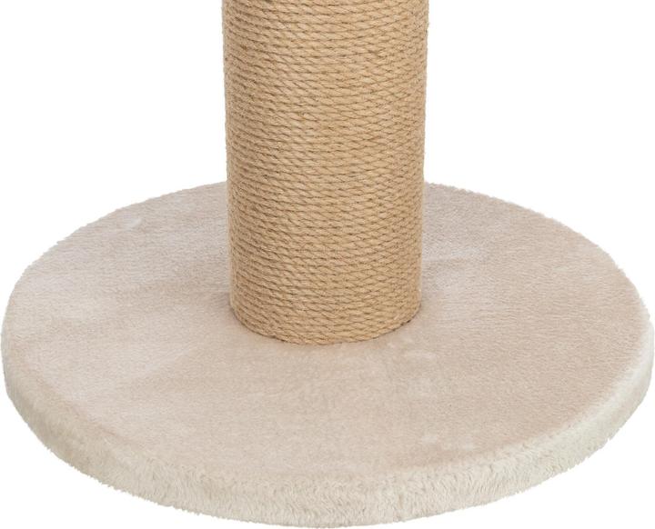 Produktbild Trixie Kratzstamm XXL Rue 80 cm (80 cm, Beige)
