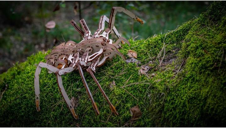 Actual product image Eco Wood Art spider