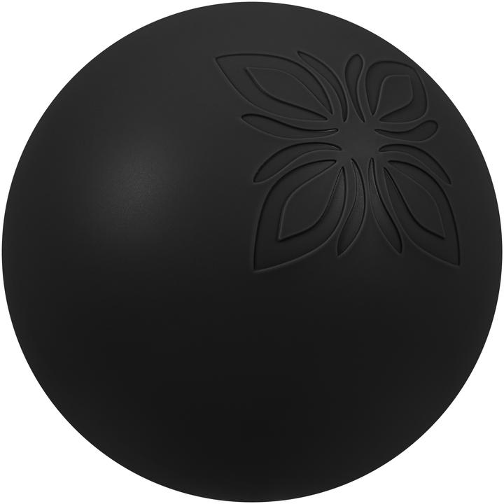 Actual product image Omnana MOON Pilatesball