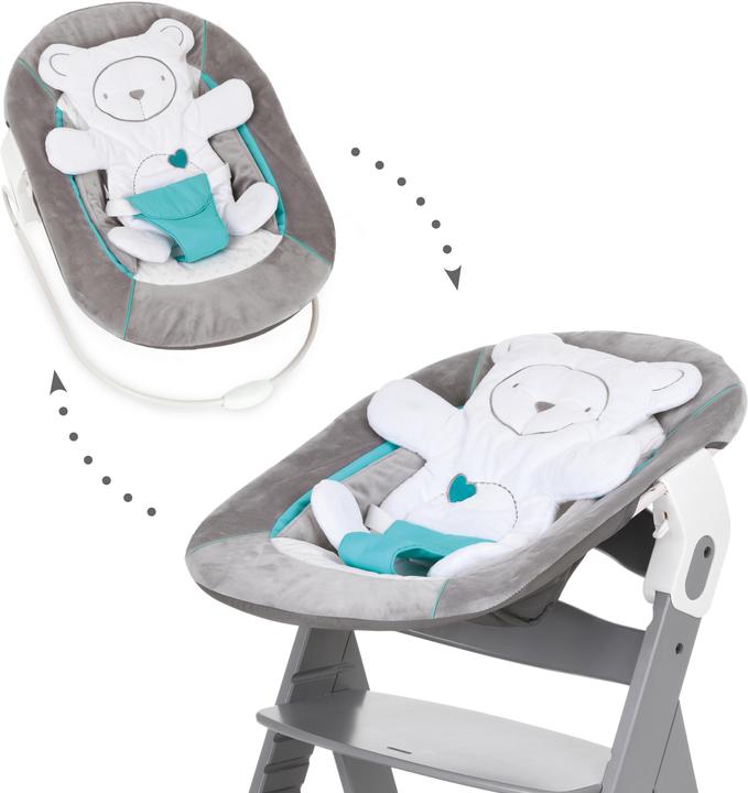 Hauck Alpha bouncer 2 in 1