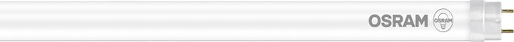Actual product image Osram Led Tube T8 (G13, 7 W, 765 lm, 1 x, F)