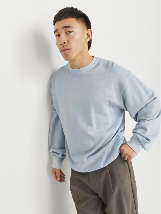 Actual product image Jack & Jones Jjecharge Faded Sweat Crew Neck Noos (L)