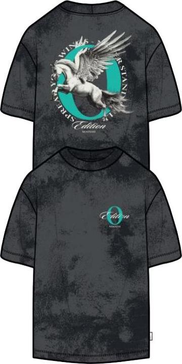 Image du produit Only & Sons Onsray Ovz Washed Ss Tee (M)