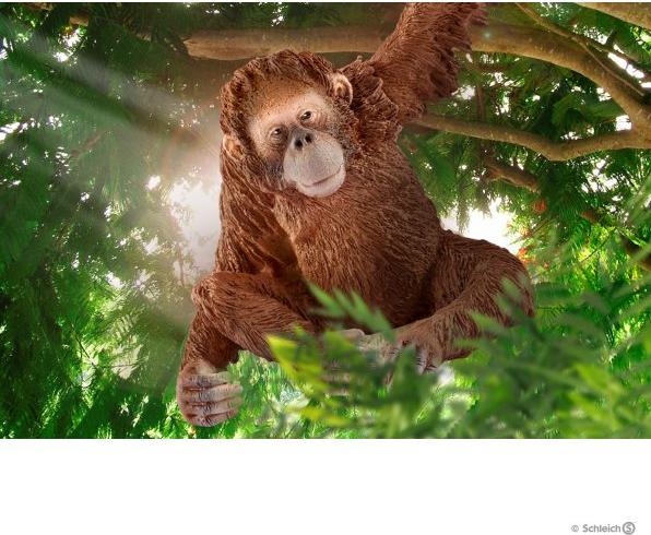 Produktbild Schleich Orang-Utan