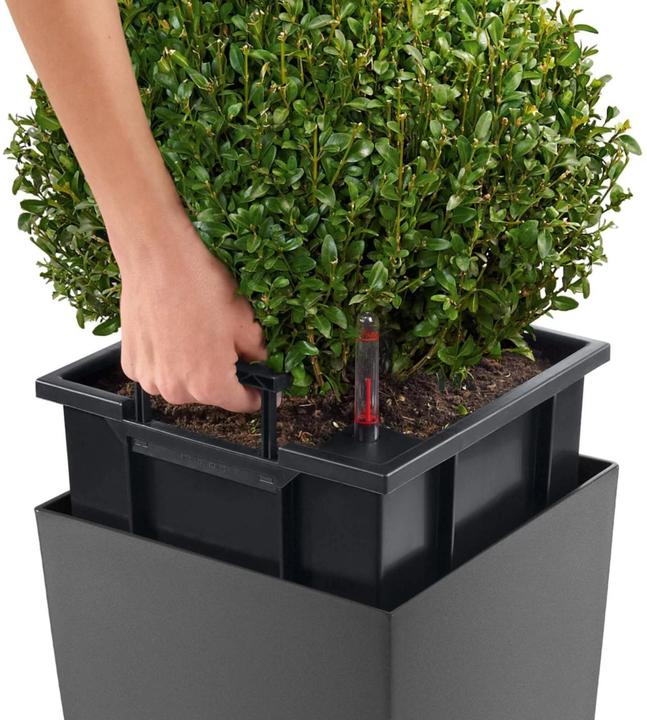 Actual product image Lechuza Cubico Premium 22 brown plant pot, volume: 6 litres (22 cm)