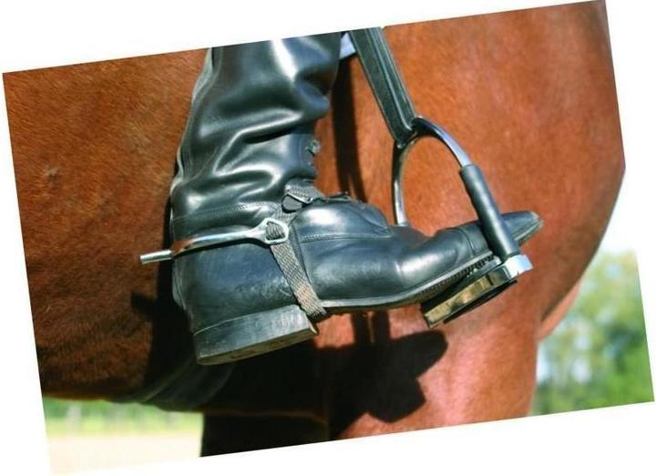Actual product image Sprenger System 4 safety stirrups