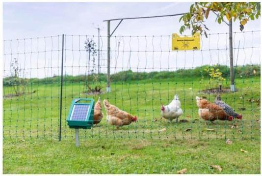 Produktbild Kerbl Geflügelnetz-Set, 50 m, grün, inkl. Solargerät S250 + Zubehör