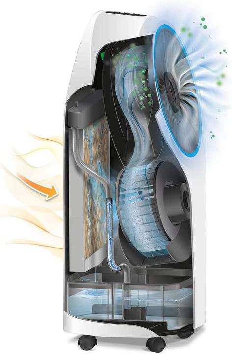Actual product image De'Longhi EV250 (20 m², 239 BTU/h)