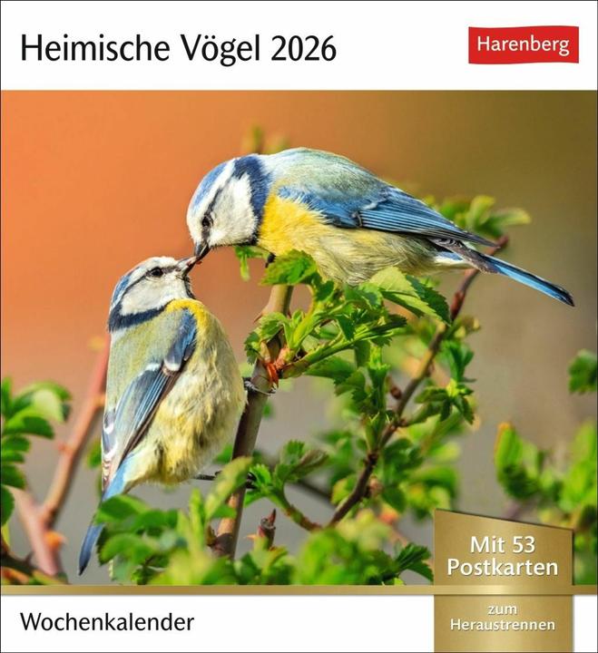 Immagine prodotto Harenberg Heimische Vögel Postkartenkalender 2026 - Wochenkalender mit 53 Postkarten (Tedesco)