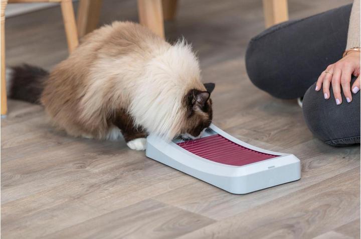 Actual product image Trixie Cat Strategy Game Rod Board, 35 × 19.5 cm (Intelligence toy cat)