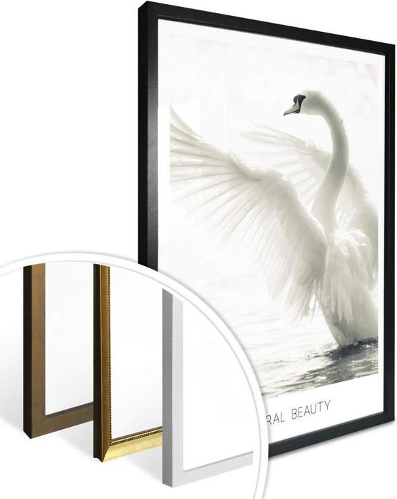 Actual product image Trenddeko Majestic swan - Natural Beauty (100 x 120 cm)