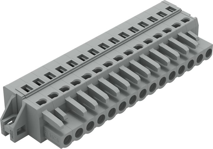 Actual product image Wago Female connector
