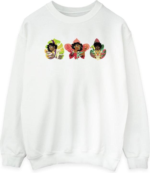 Disney Encanto Family Line Sweatshirt (XXL)