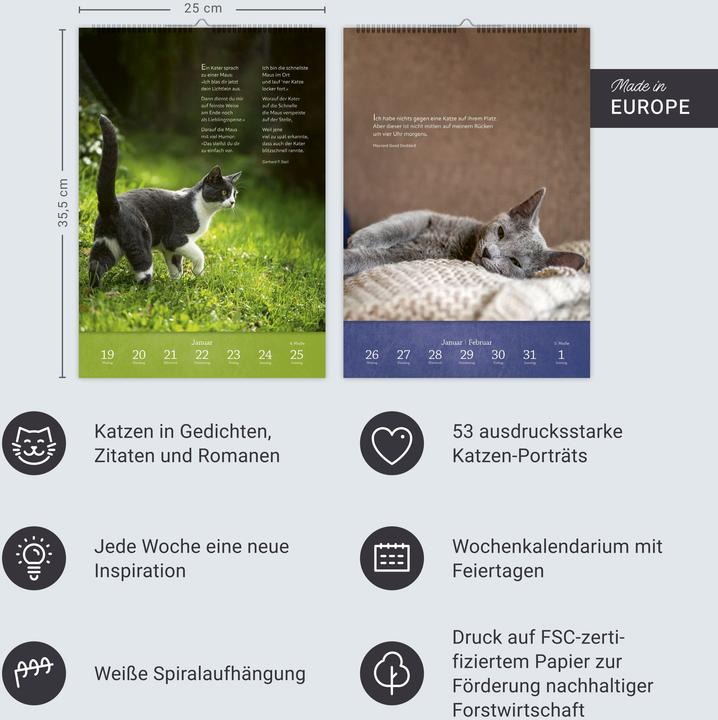 Actual product image Harenberg Literaturkalender Katzen Wochen-Kulturkalender 2026 (German)