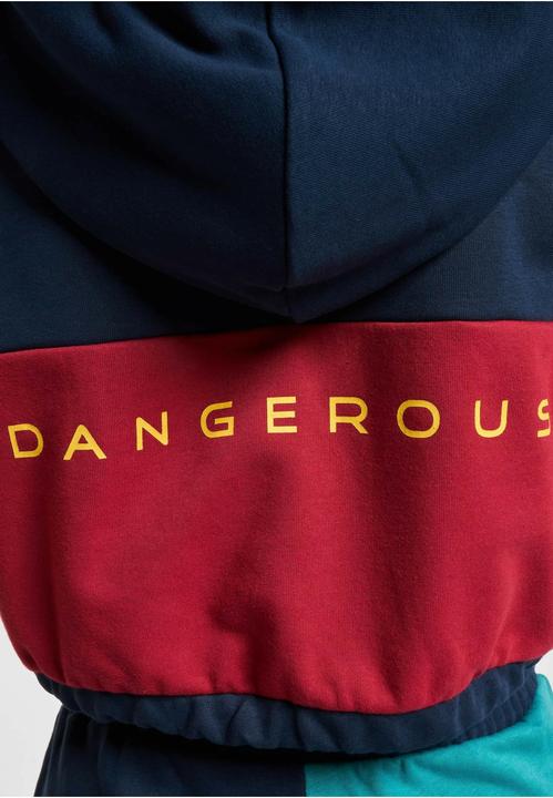 Image du produit Dangerous DNGRS Sweat à capuche 4C - 139053 (L)