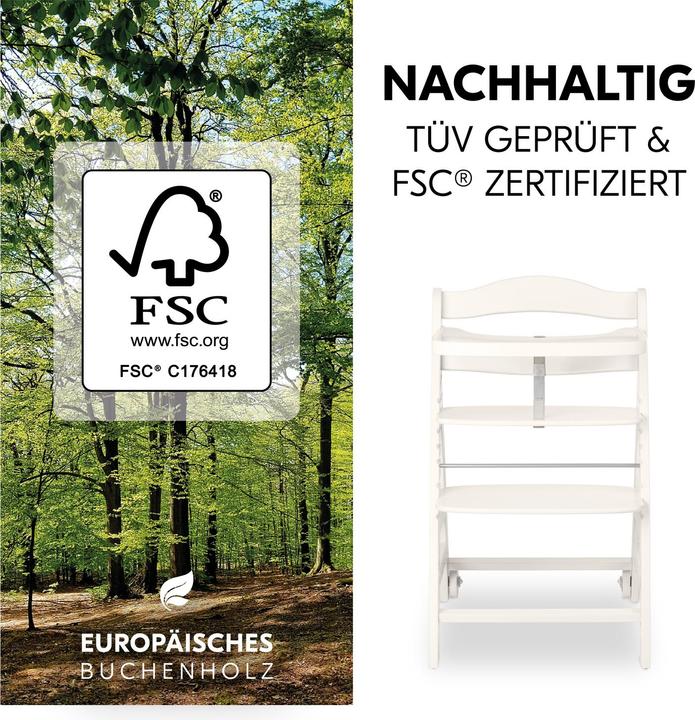 Actual product image Hauck Beta+ (Highchair)