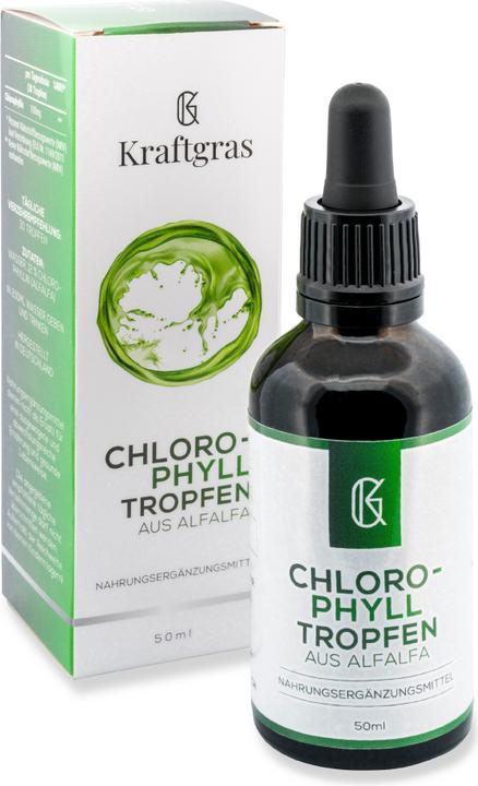 Kraftgras Chlorophyll Tropfen aus Alfalfa (1 Stück, Tropfen)