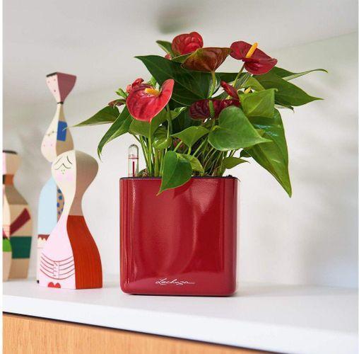 Produktbild Lechuza Cube Glossy (14 cm)