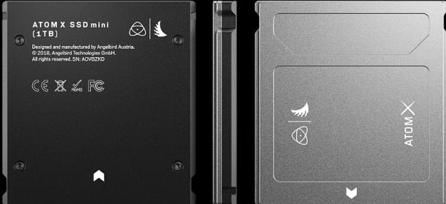 Image du produit Angelbird AtomX SSDmini (1000 Go)